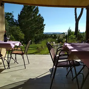 Vakantieboerderij Il Lavandeto - In The Siena